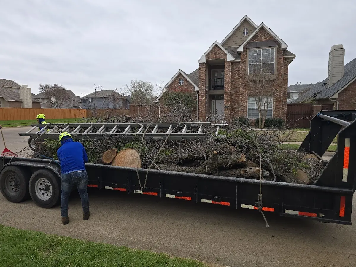 Expert Lot Clearing with proper safety equipment in Farley